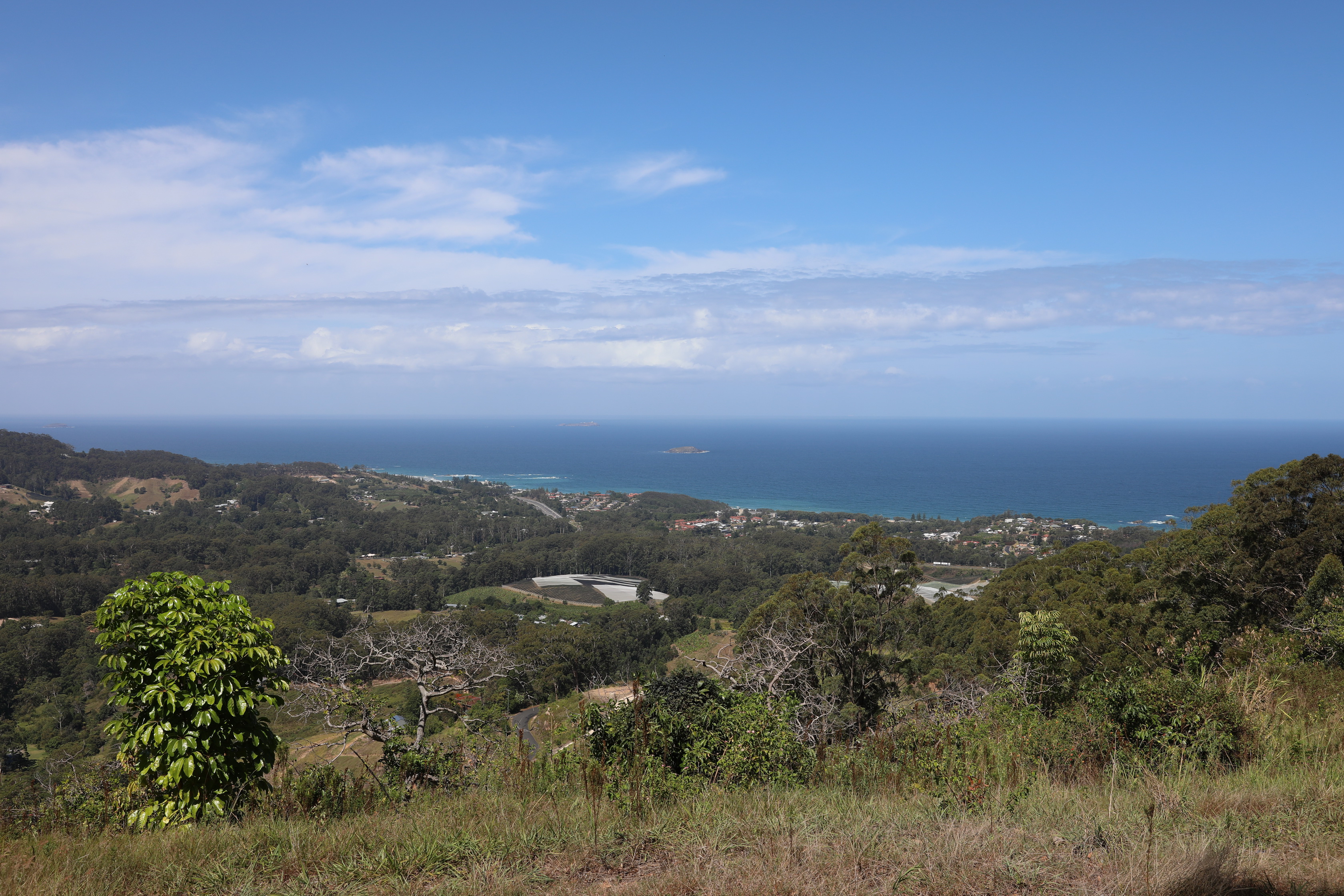 2020 01 13 15 25 07 Canon EOS 5D Mark IV 0005